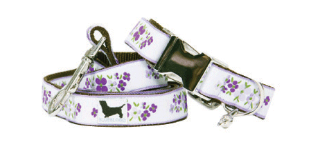 Veruka Salt Collar/Lead