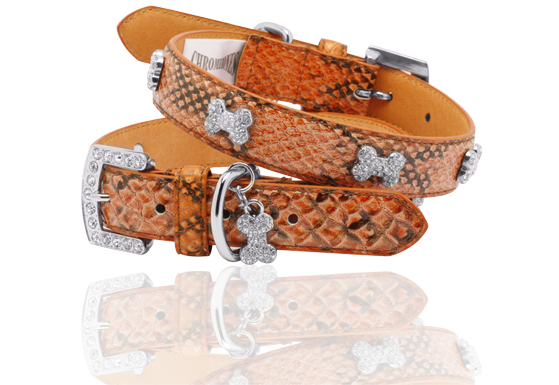 TangerinePythonCollar